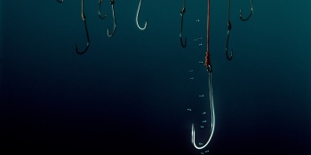 The psychology of phishing attacks