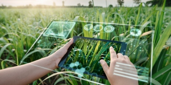 AI delivers real-time data for smarter farming