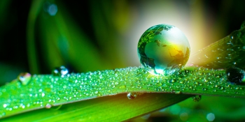 The role technology leaders play in driving sustainability in F500 organizations
